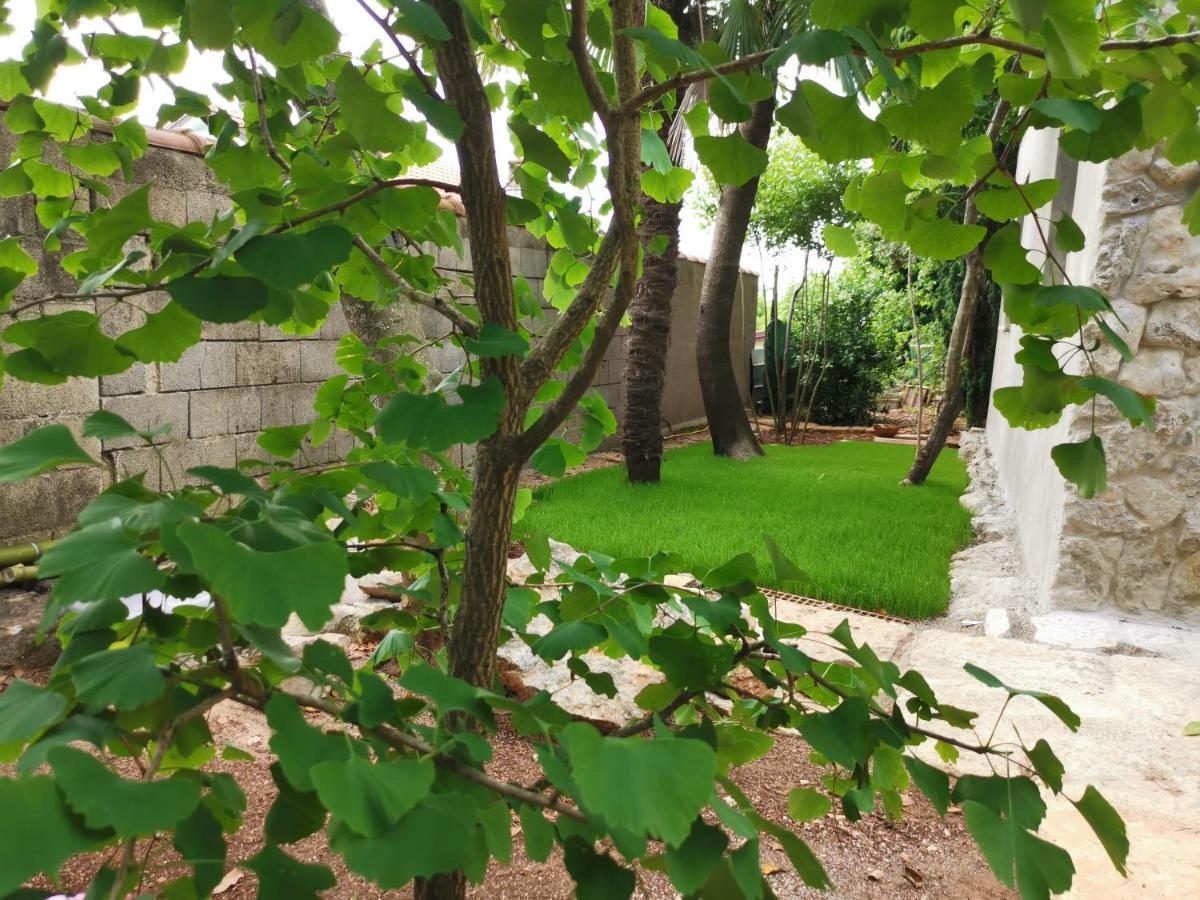 Ginko House Apartment Opatija Exterior photo